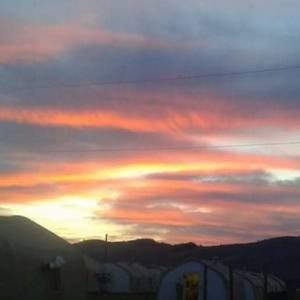 Meet your Posher, Ava